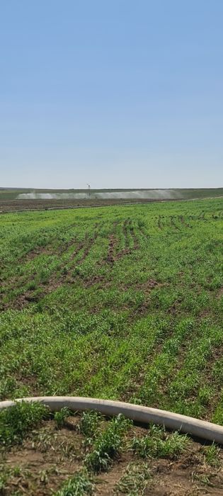 Дождевальная машина RM-500 пр. Италия!