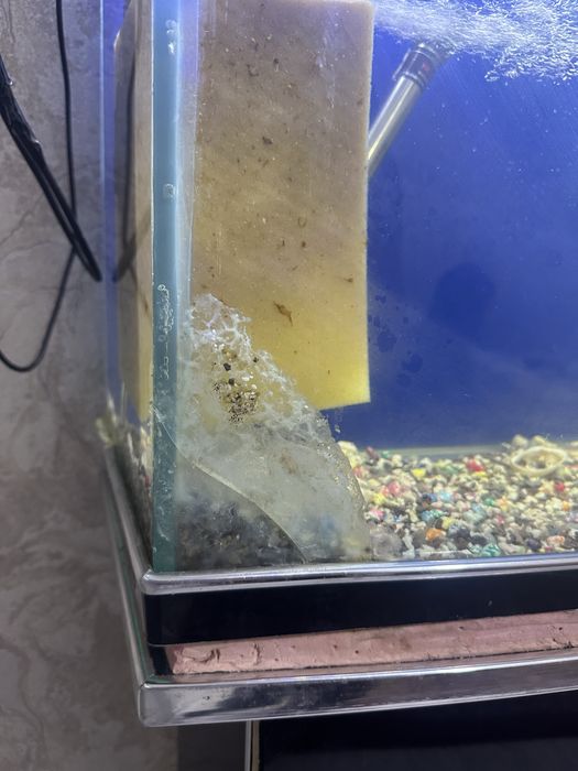 Akvarium sotiladi 200 L kamplekt