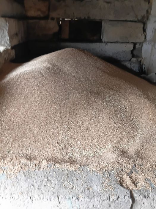 Продам хорошее,свежее зерно