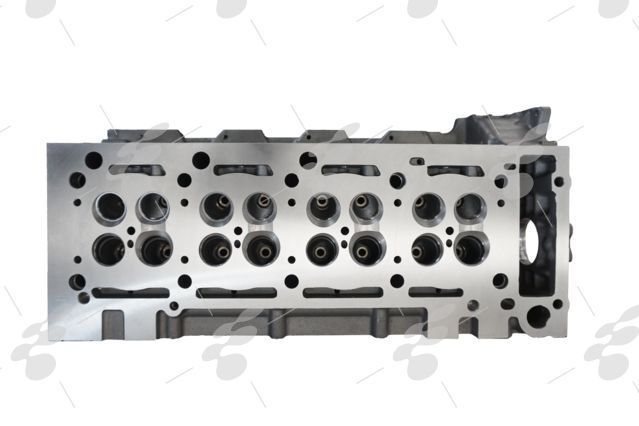 chiulasa dezechipata mercedes vito sprinter c class e class 2.2 cdi