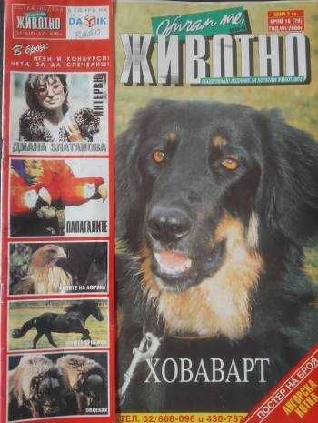 Обичам те, животно бр. 16 / 2000