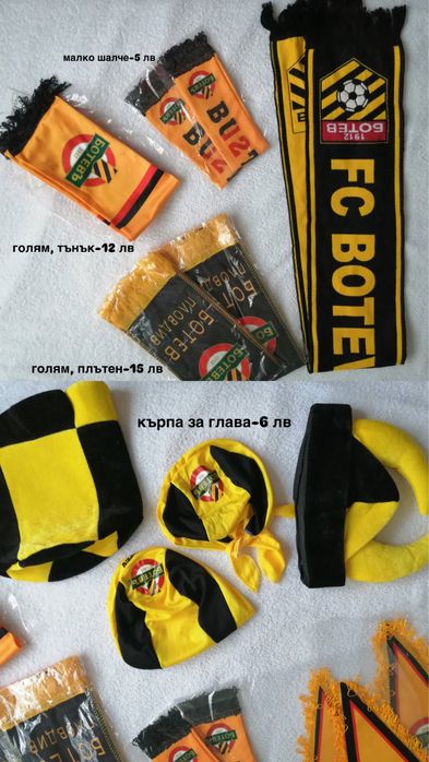 За феновете на Ботев