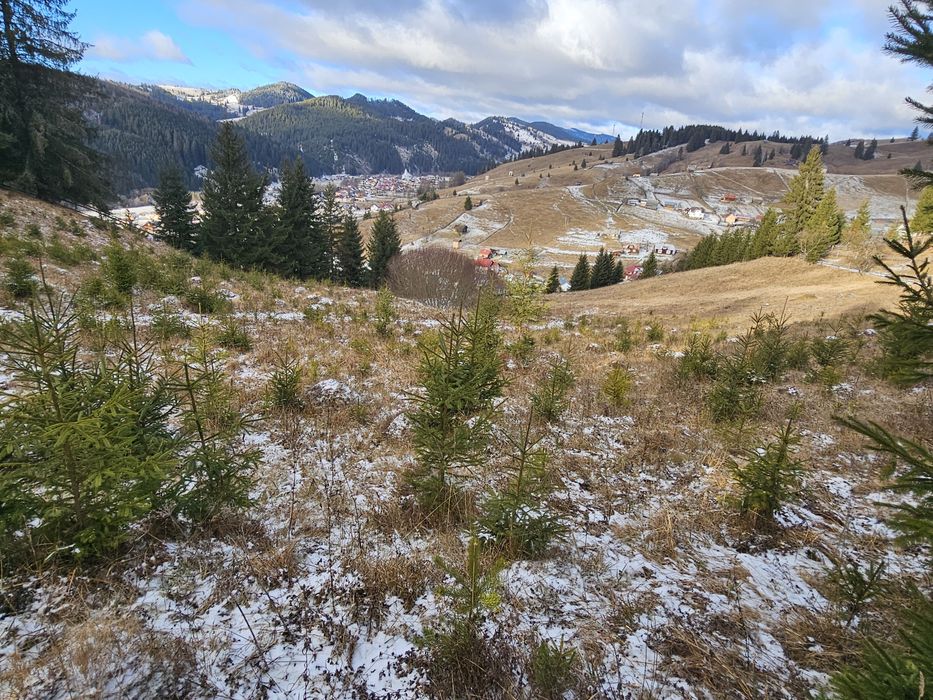 Teren de vanzare in Bucovina Comuna Breaza