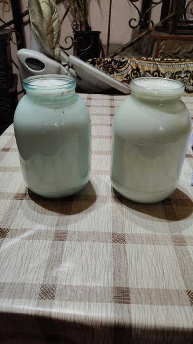 Продаю козье молоко