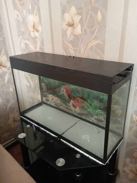 Большой аквариум