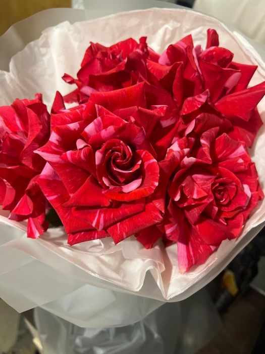 Букет 3 тыс самовывоз катаева 13