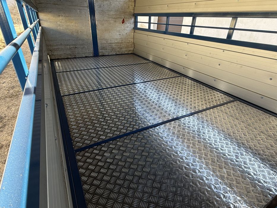 Iveco Daily cub transport animale vii