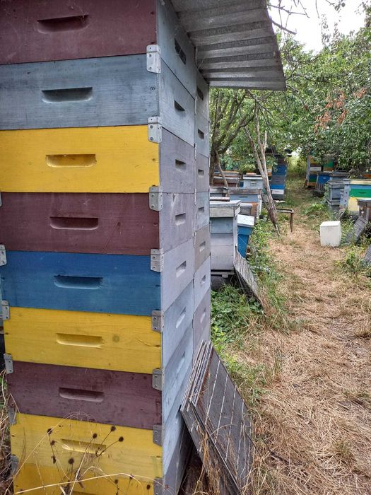 Vand 800 de magazii 1/2 de 12 rame.