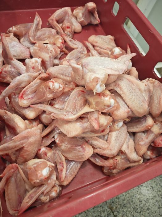 За домашни любимци