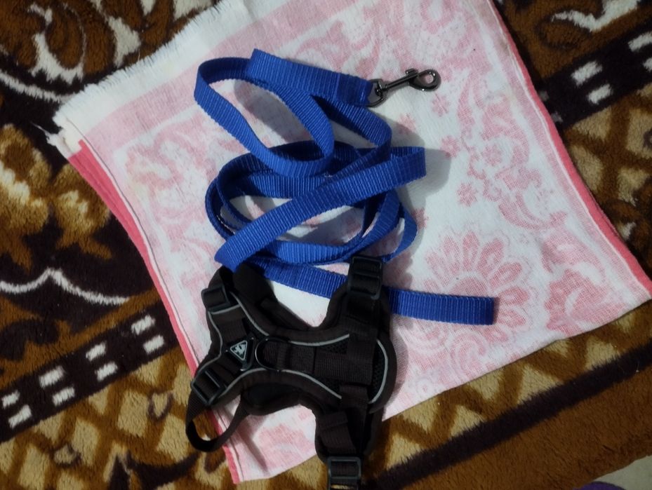 Продам в зоотовары