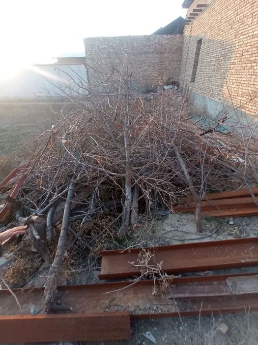 Õtin sotiladi 1moshin