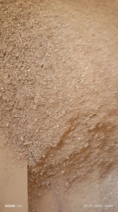 Продаю опилки сухие из карагача