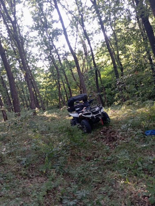 Atv Linhai dragonflay