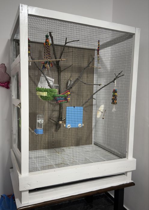 Colivie / cusca + papagal nimfa