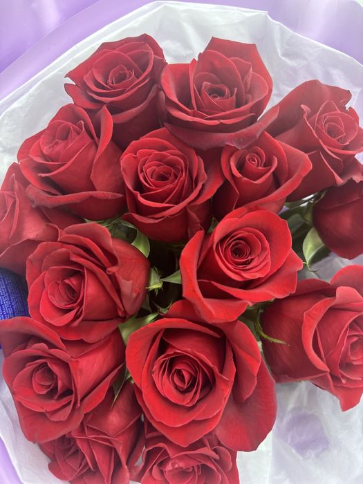 Продам букет роз свежие