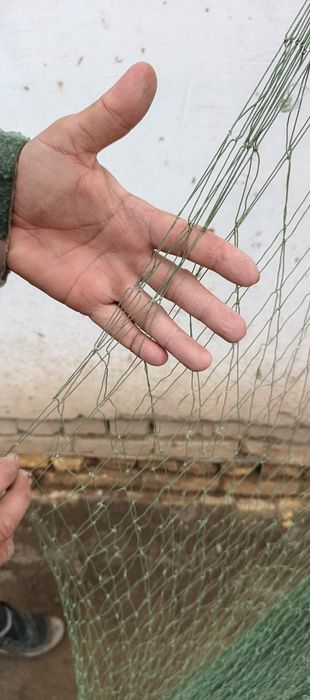 Baliq ovlash uchun ohon