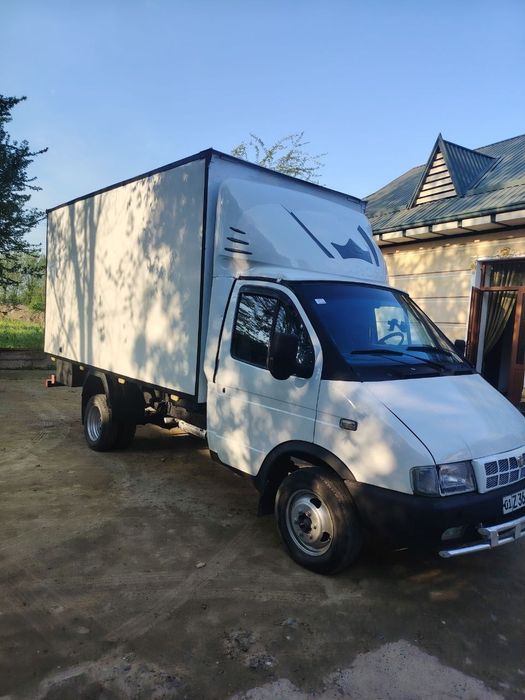 Gazel sotka sotiladi