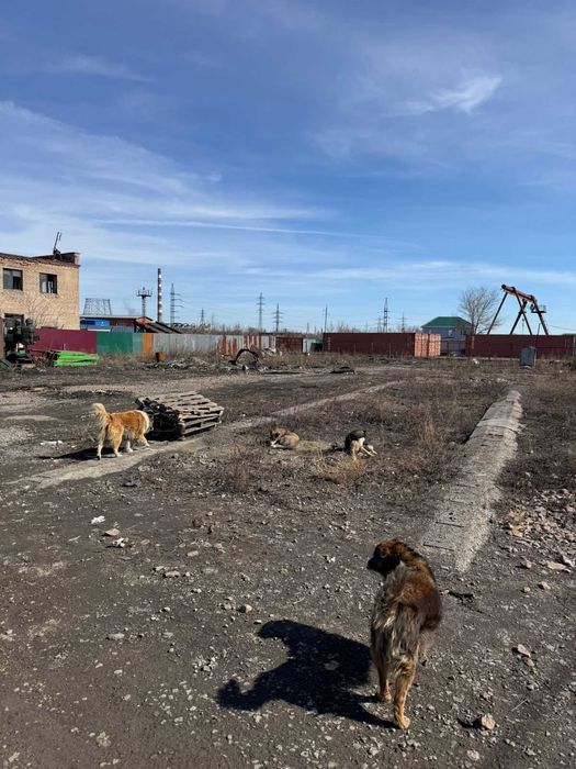 продам бизнес металлоприем