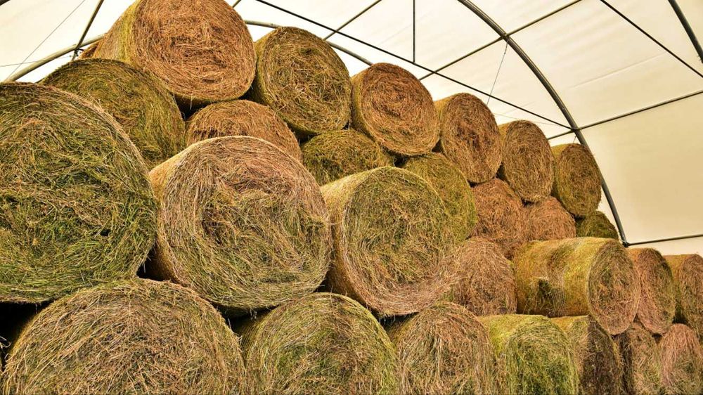 Cort pentru agricultura,depozitare baloti,fan
