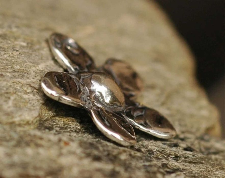 Сребърен медальон 925 маргаритка – талисман за нежност и ново начало.