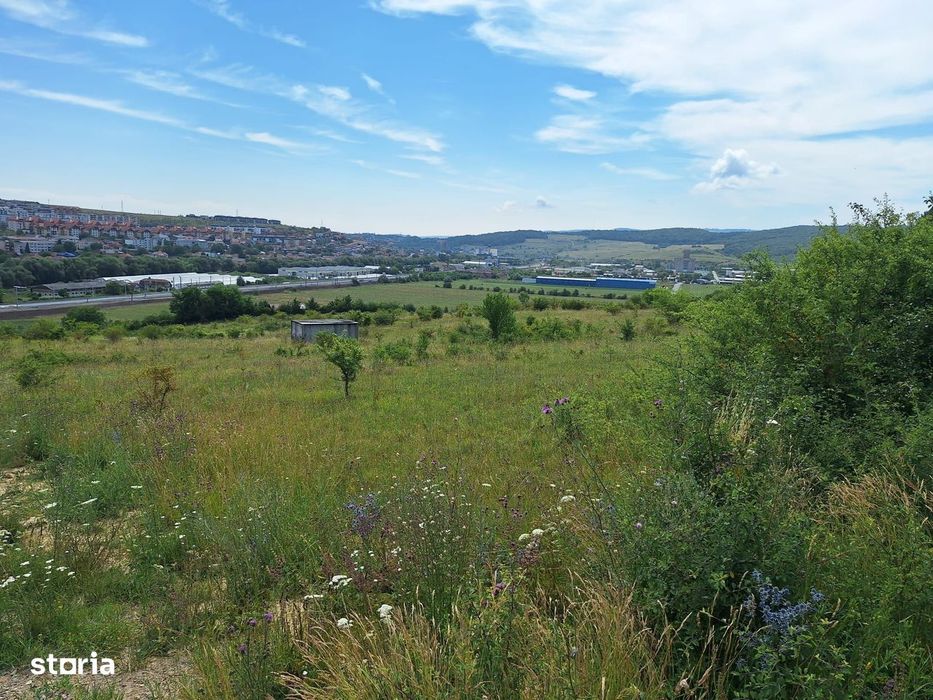 Teren intravilan 5.800 mp, Baciu Vatra Satului Vechi, Panorama superba