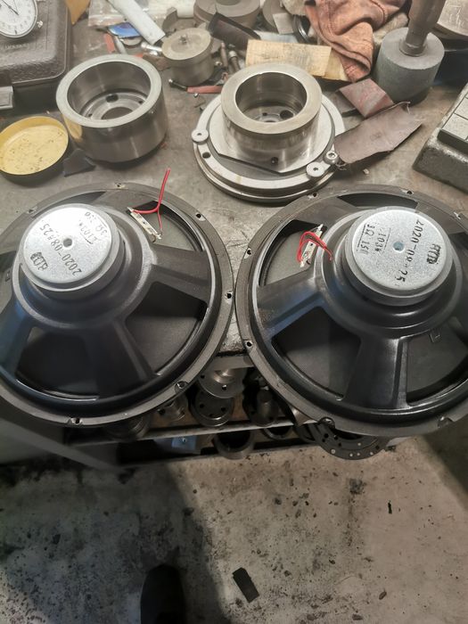 Говорители 10 инча  (тонколони)