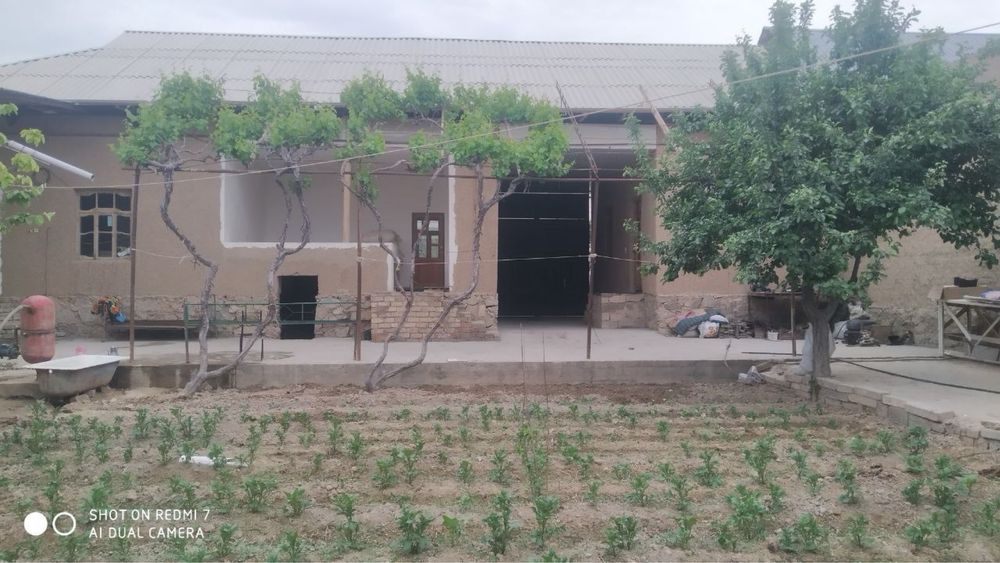 Ховли сотилади срочно!