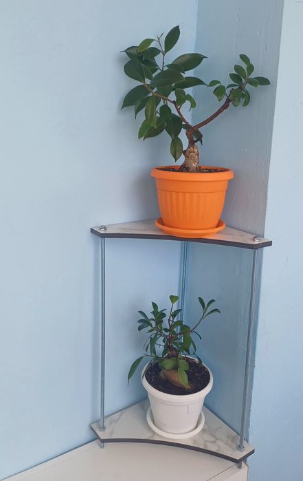 Цветарник - етажерка