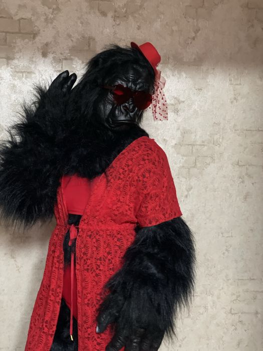 Аниматоры,ведущие ,ростовые куклы