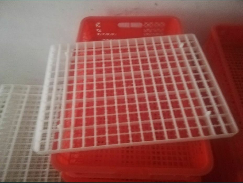 инкубатор inkubator