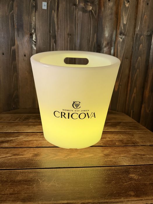 Frapiere LED RGB Cricova – 2 bucăți, cu telecomandă