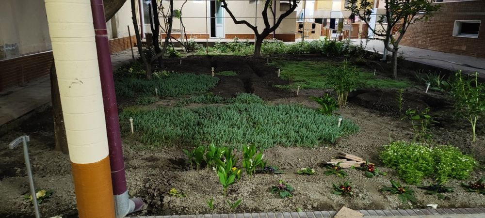 Садовник благоустройство ландшафт богбон газон посадка арча ёлка стрич