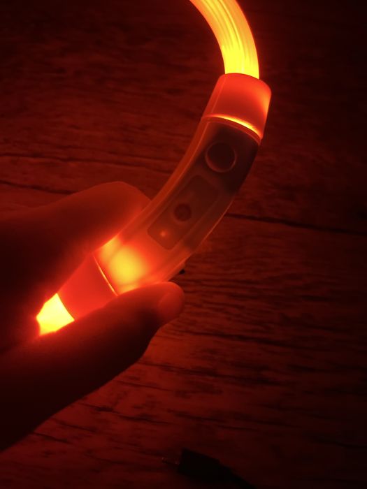 Свитящайся ошейник для собак