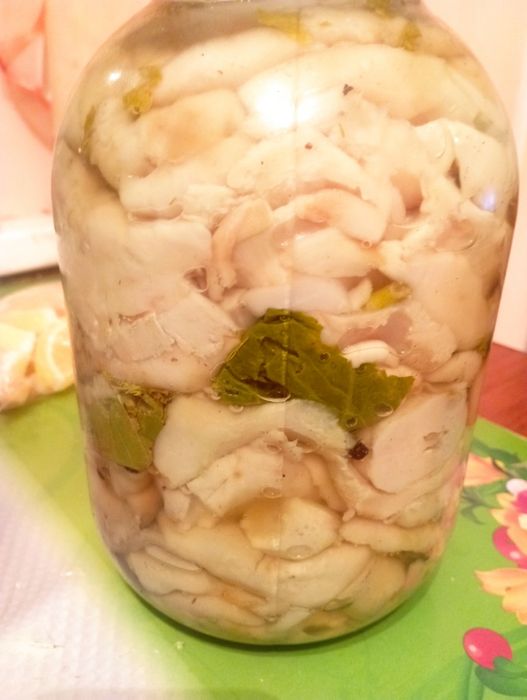 Продам грибы грузди