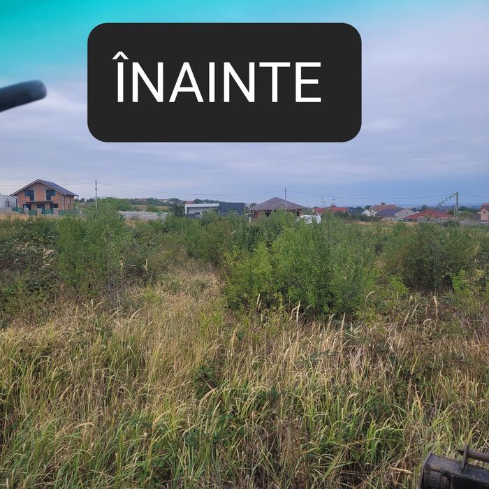 Amenajari spatii verzi si defrisari terenuri