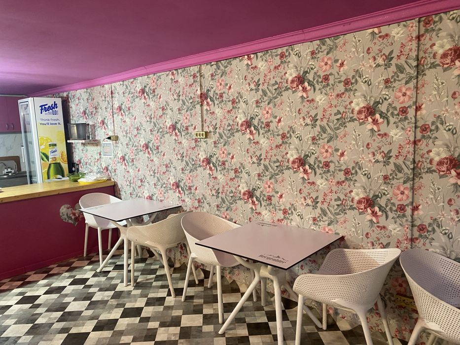 Vand afacere la cheie Clatitarie complet dotata Clatite Darayava Buzau