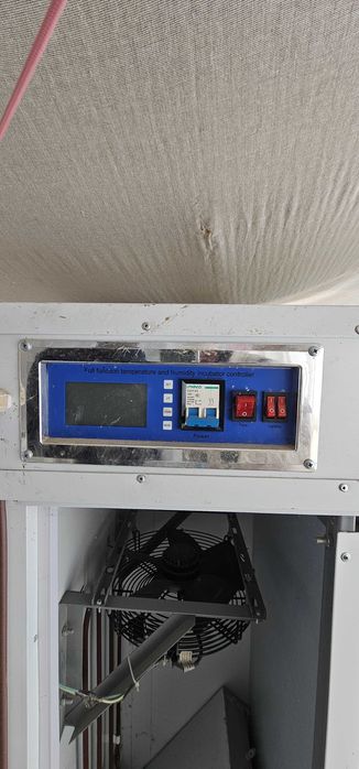 Kelishiladi inkubator