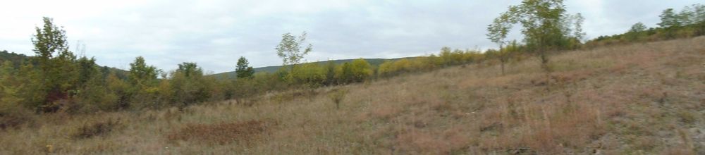Vindem terenuri intravilane in Cladova