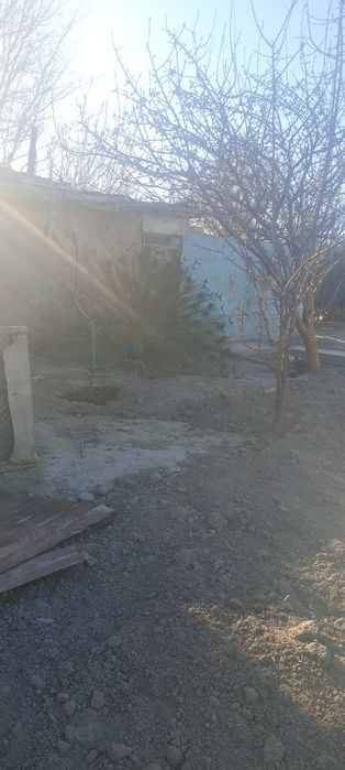 павлин сатыладыи