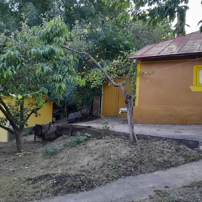 Casă bătrânească de vânzare + 6700 mp Cozia, jud. Iași