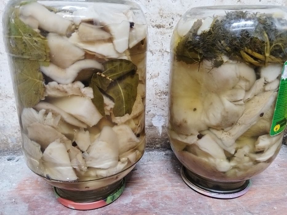 Маринованные грибы