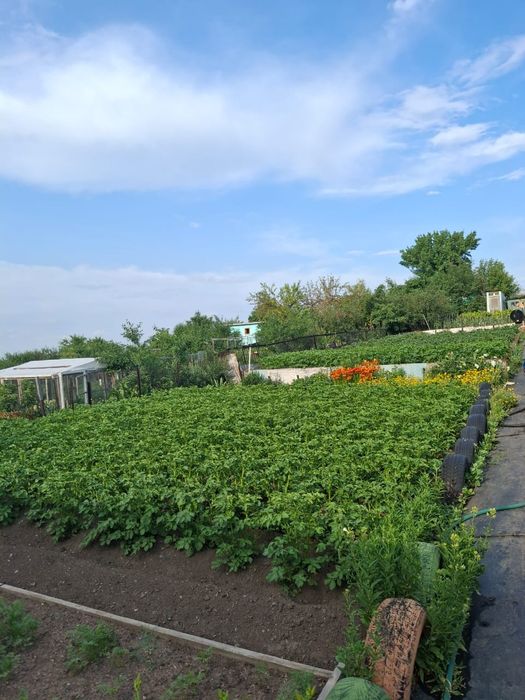 Продам дачу Химик верх