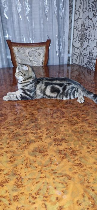 Лвлыбьвотчлшшдыьцоы