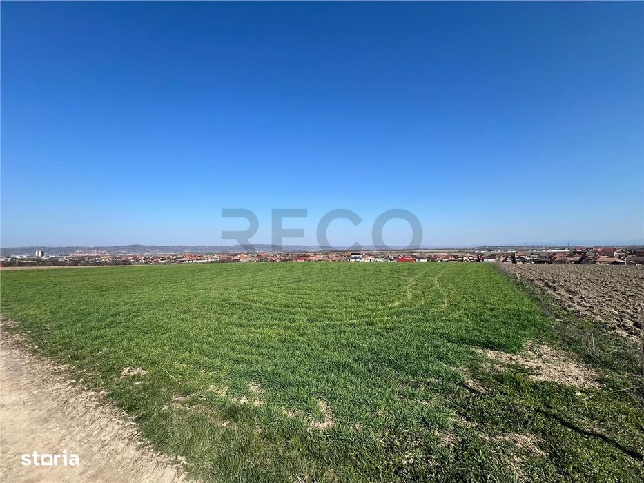 RECO Teren extravilan in Cheriu, Bihor
