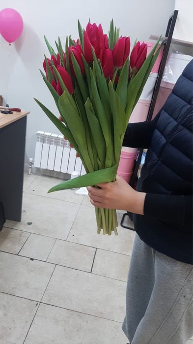 Премиум Тюльпаны, крупные, отборные! К 8 марта!