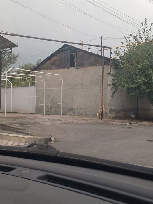 Олмазор тумани мевазор. Шланба