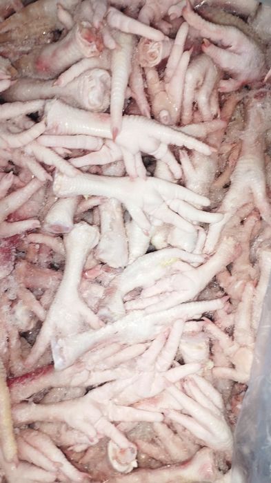 Набор для животных 500 тг кг