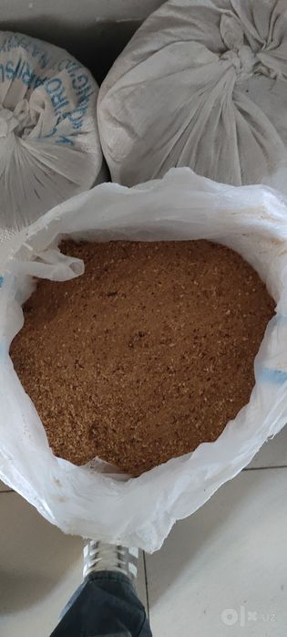 Ором нон хамкорлига таклиф етади