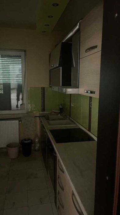 Casa de vinzare in Paleu