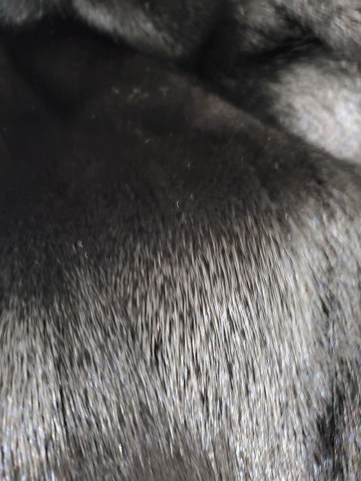 Канадская норка , чёрная,  в идеальном состоянии